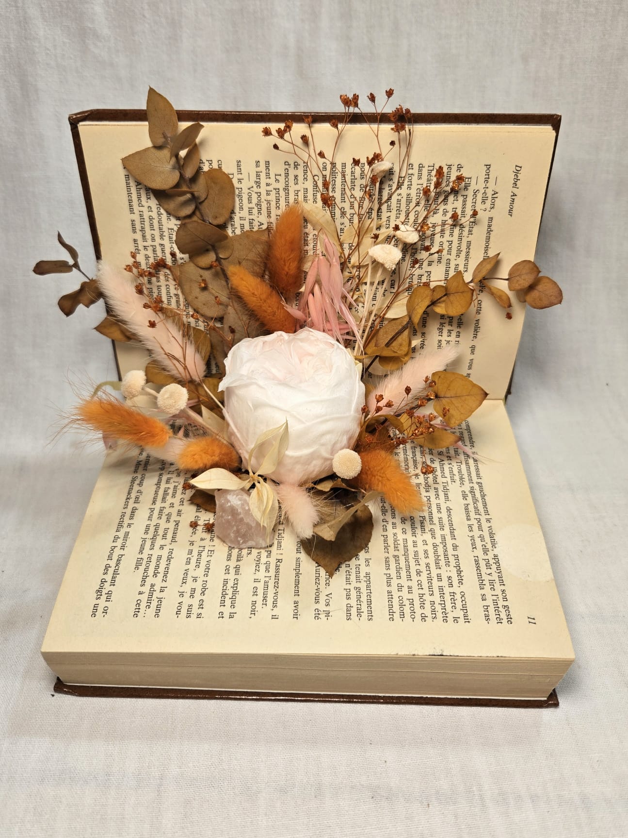 Livre rose pâle et sa pivoine éternelle