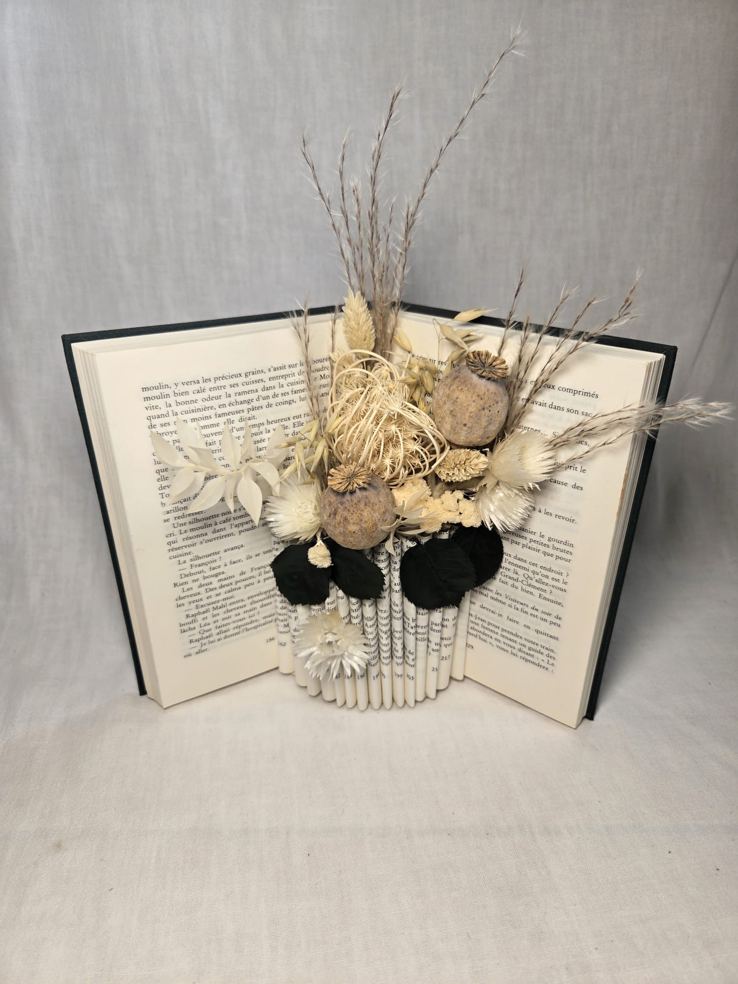 Livre ouvert vert et blanc