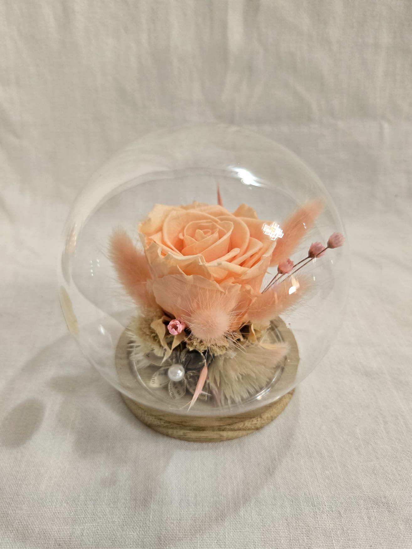 Grande rose éternelle sous cloche en verre