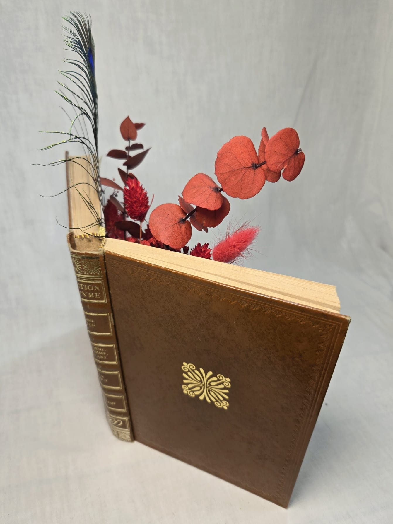 Livre ouvert et sa véritable plume de paon