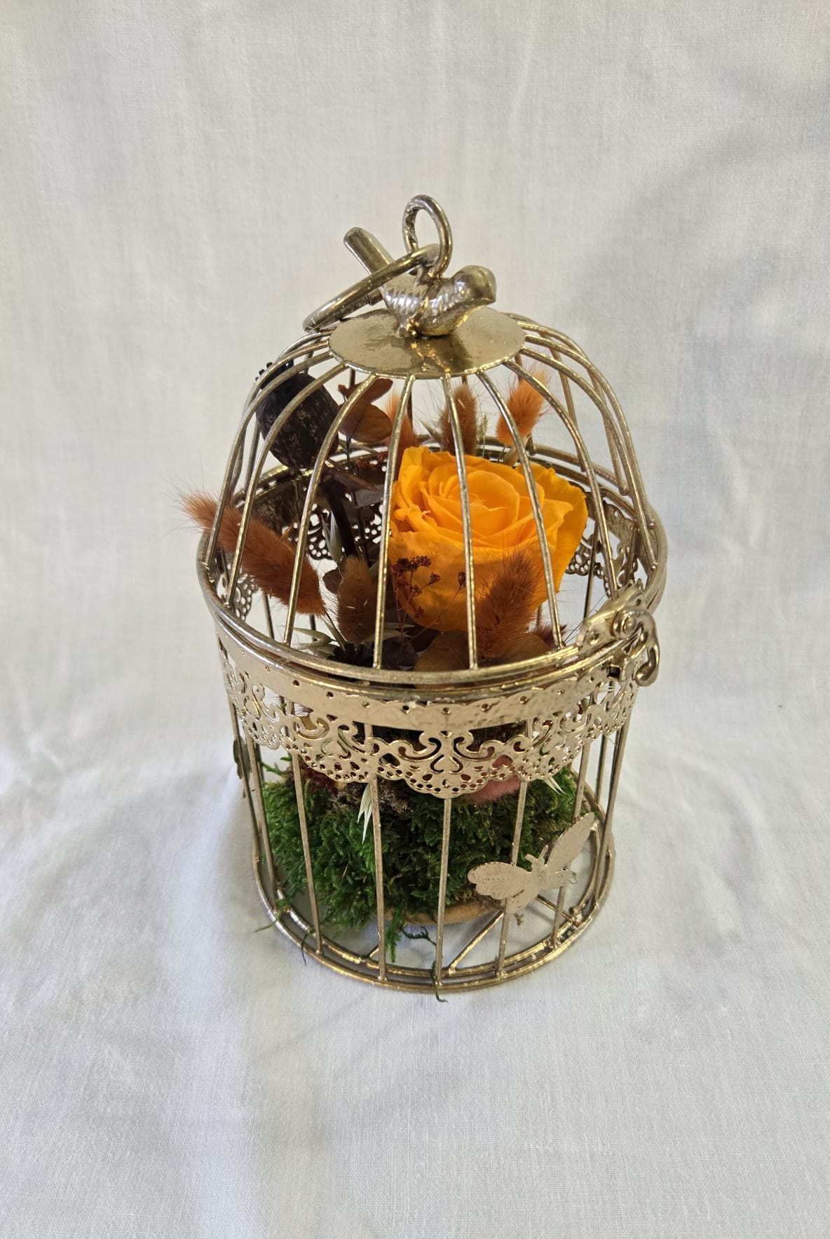 Cage fleurie avec rose éternelle