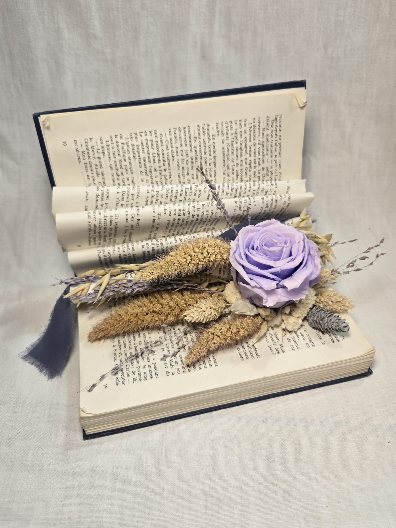 Livre Dusty Blue et sa rose éternelle