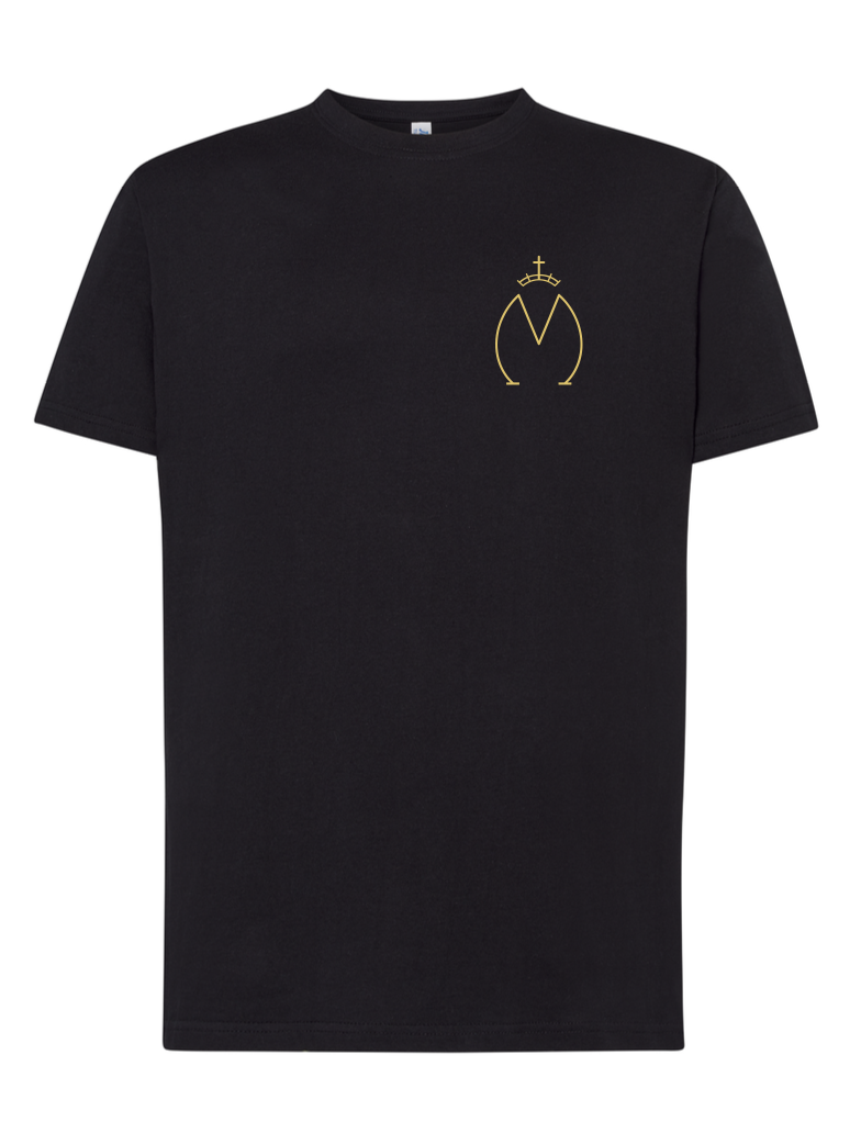 Camiseta Nimes 2010 con ruedo