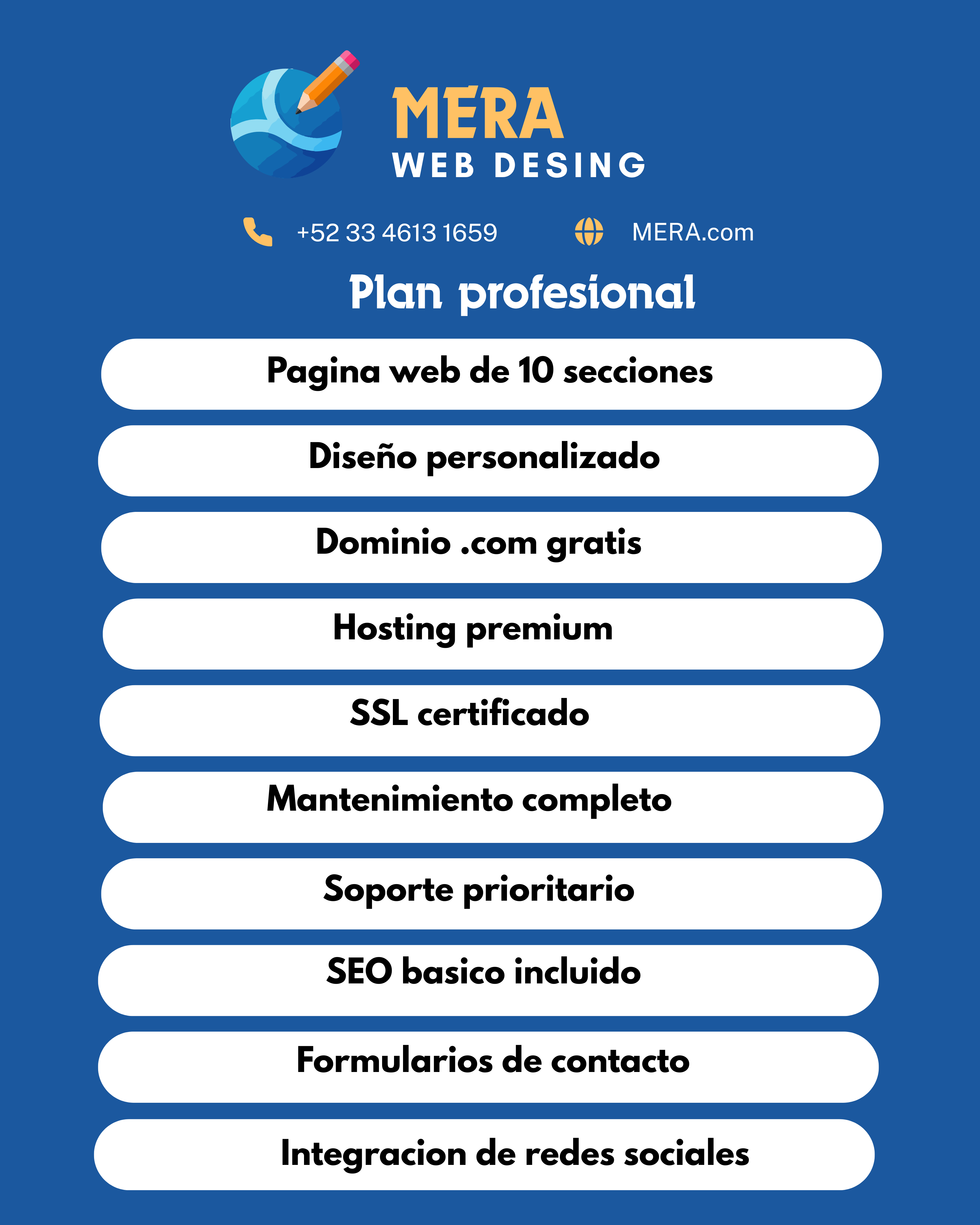 Plan profesional de diseño web