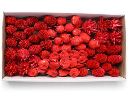 Mix de Flores Secas Rojas