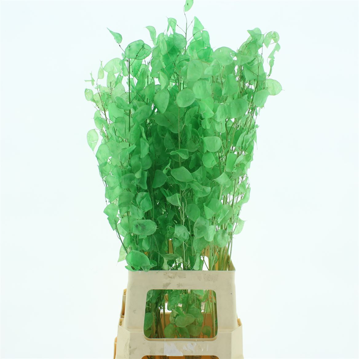 Ramas de eucalipto artificial
