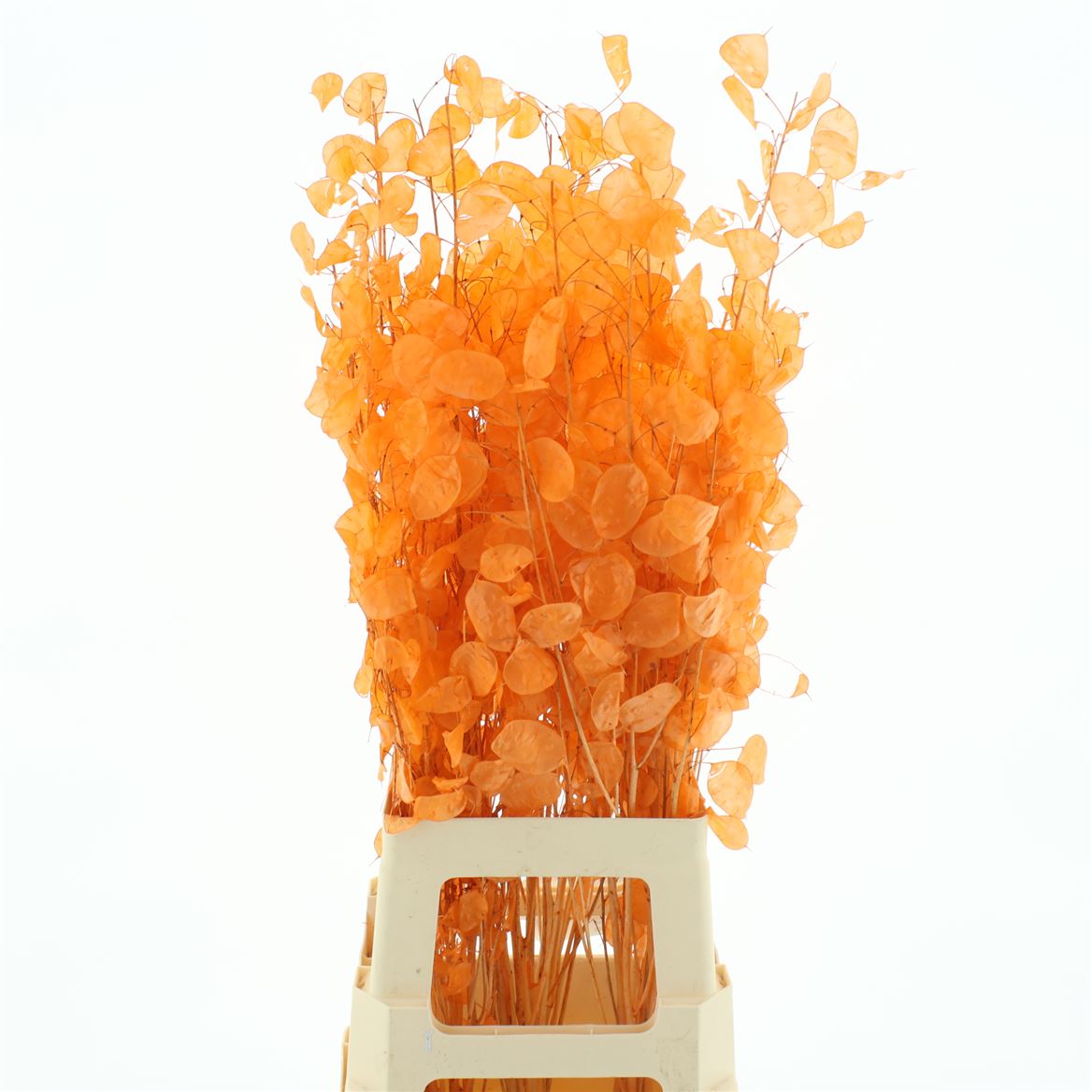Ramo de Hojas Secas Naranja