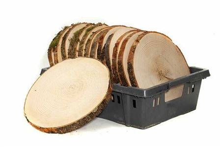 Rodajas de madera natural