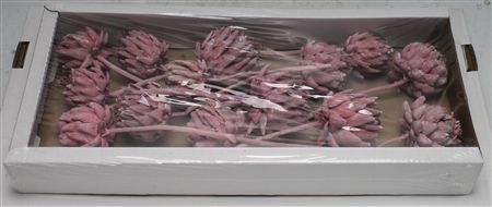 Alcachofas Decorativas Rosadas