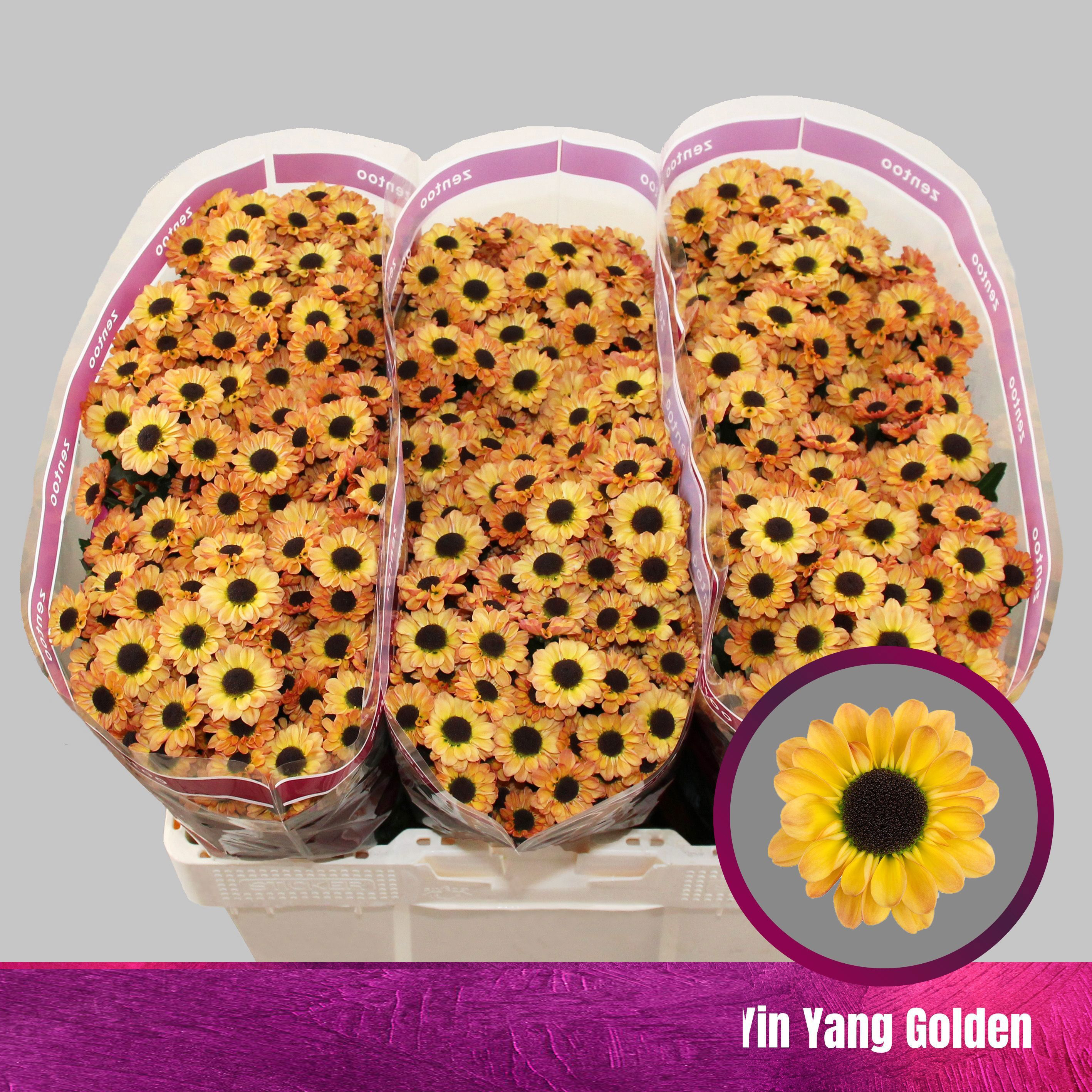 Flores Yin Yang Golden