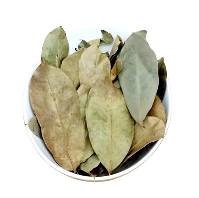 Dried soursop Leaves