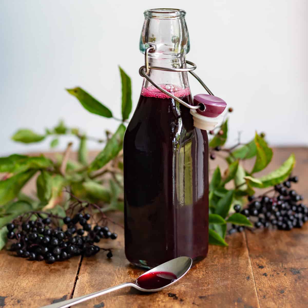Elderberry Syrup