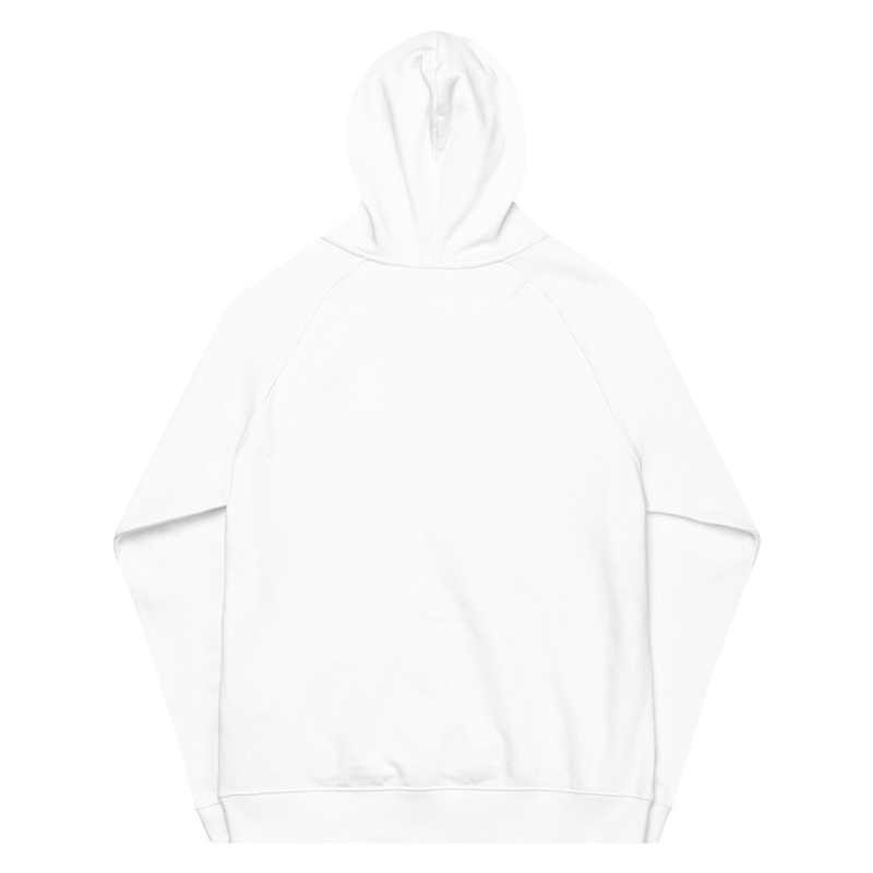 Unisex eco raglan hoodie HEDONISTIX