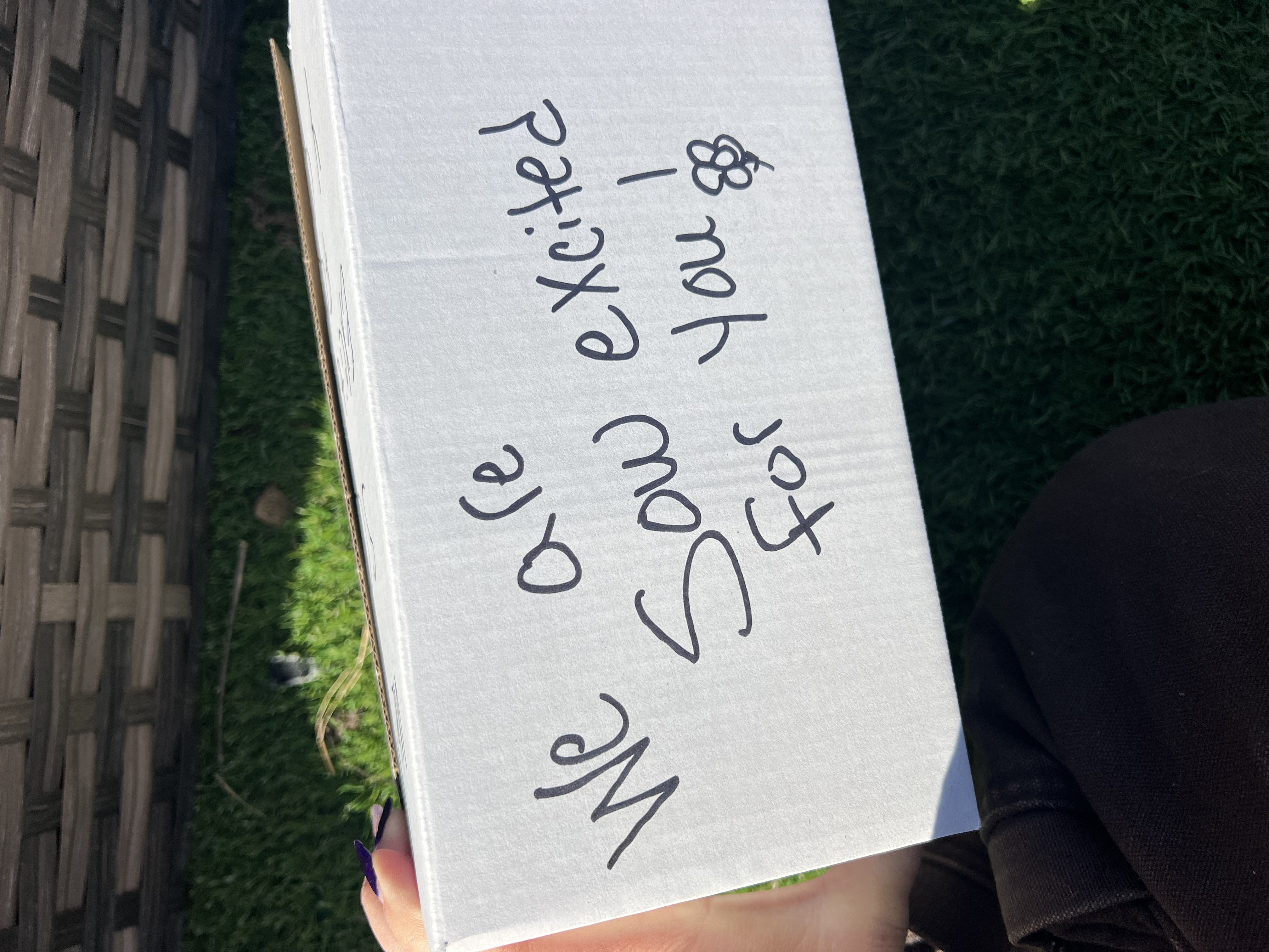 Mystery Winter Sow Flower Bloom Kit