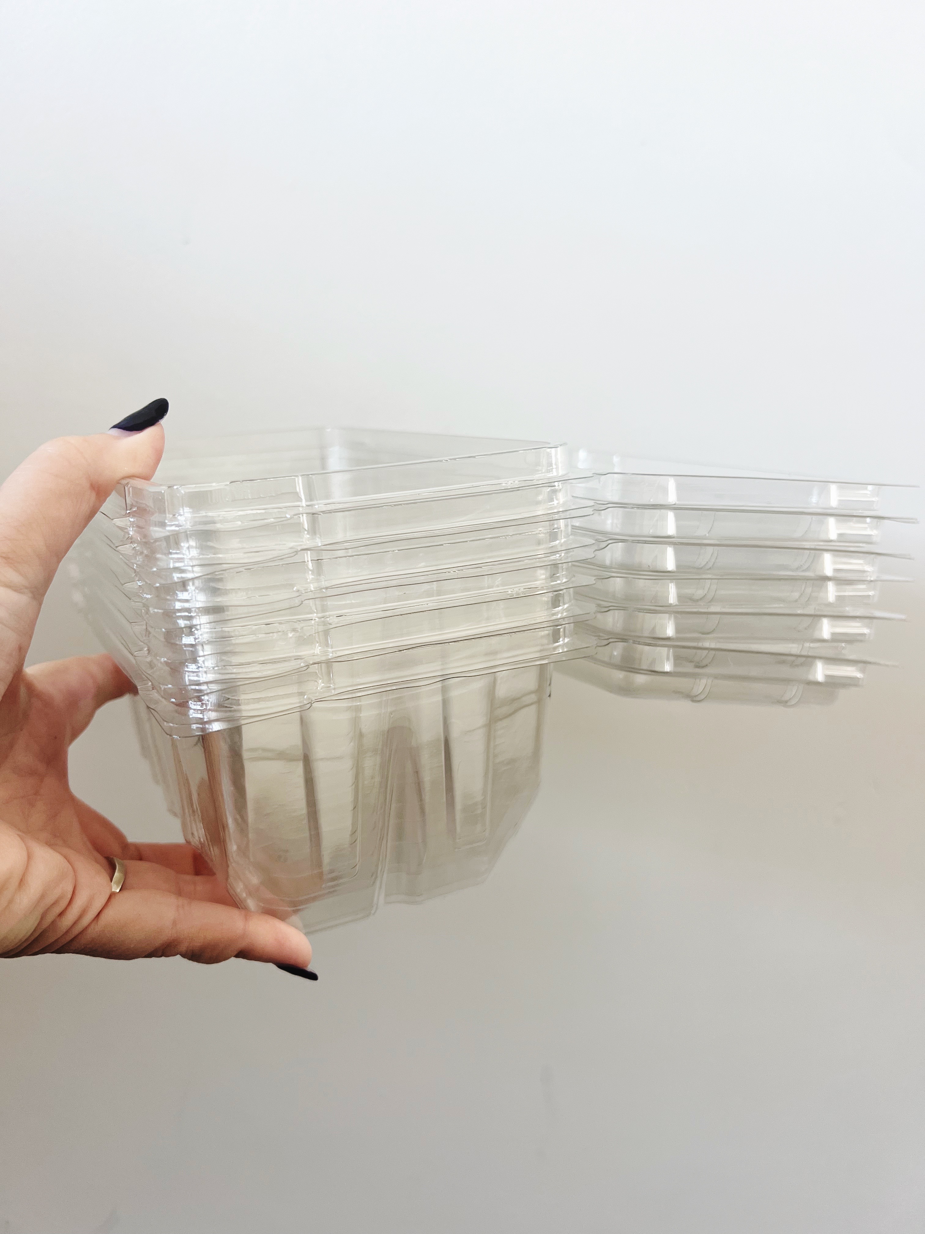 Winter sow plastic containers 