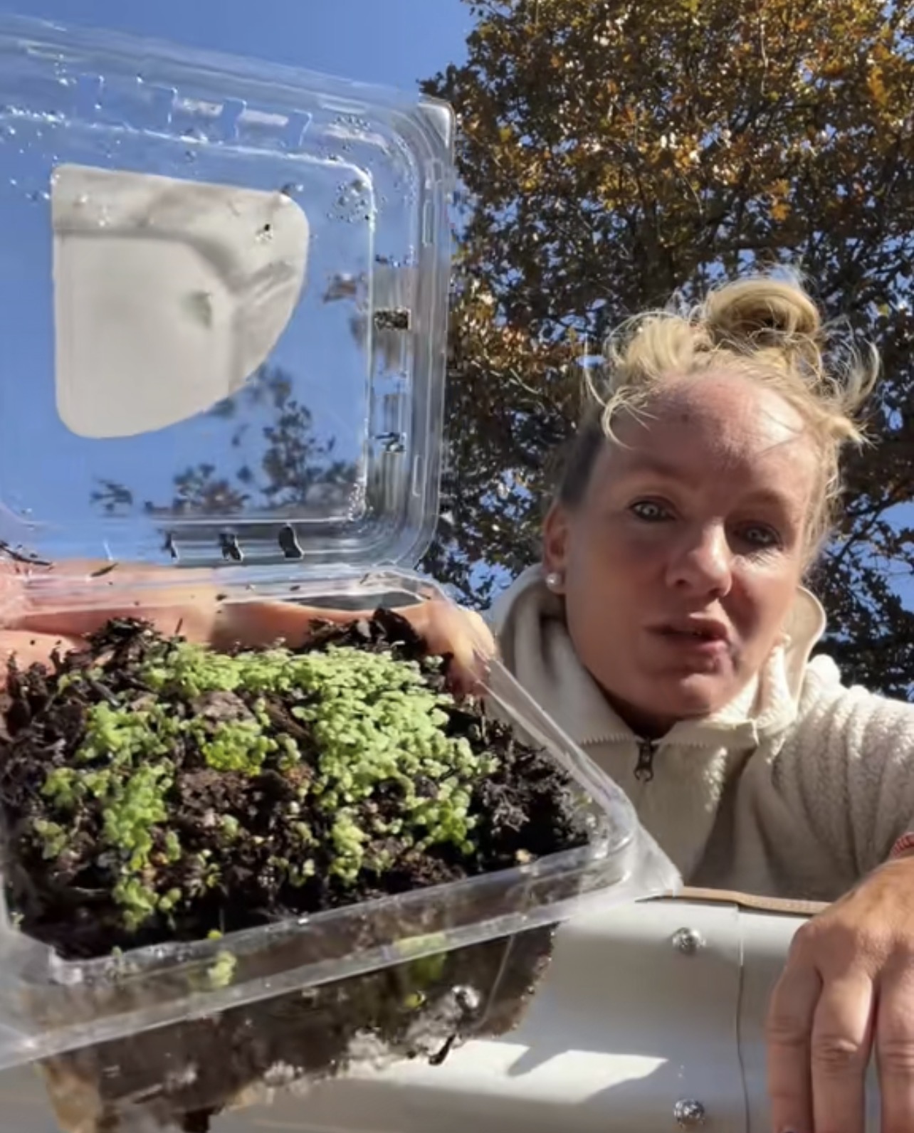 Winter Sow Zinnia Flower Bloom Kit