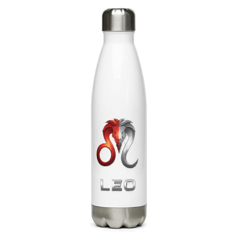 Leo Stainless steel water bottle