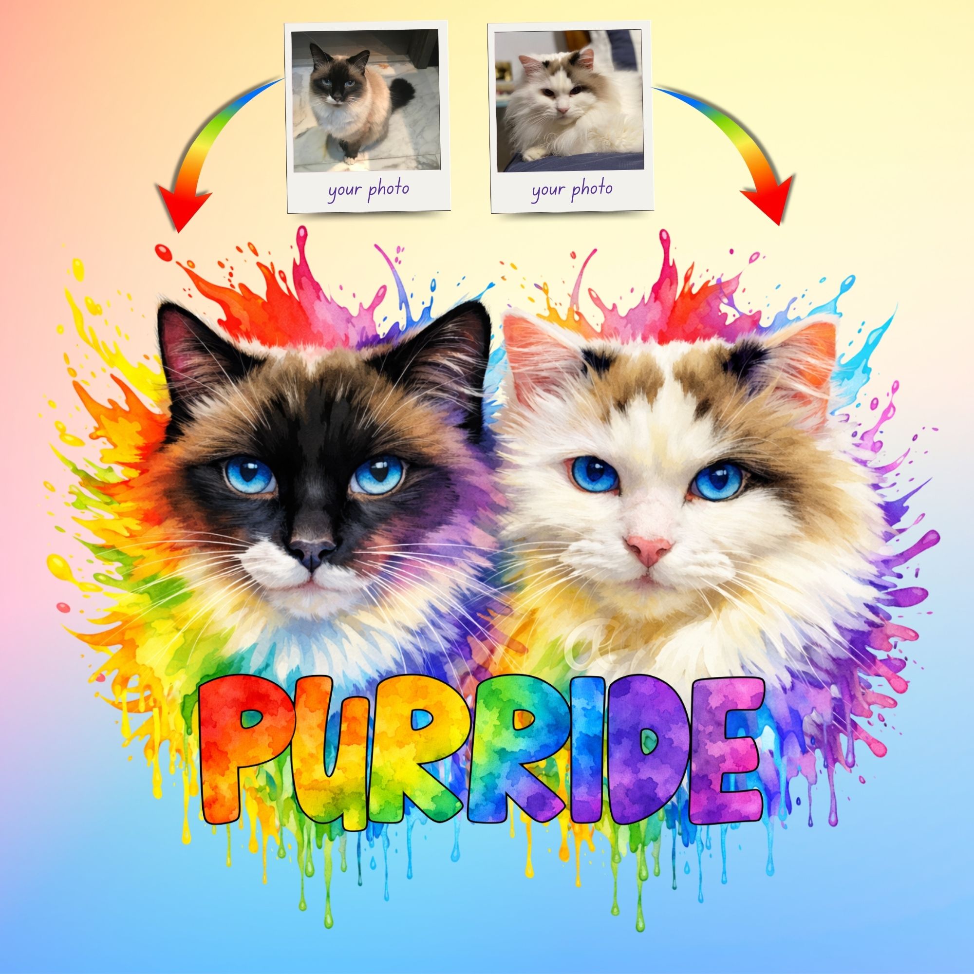 Custom Rainbow Cat Pride T-Shirt