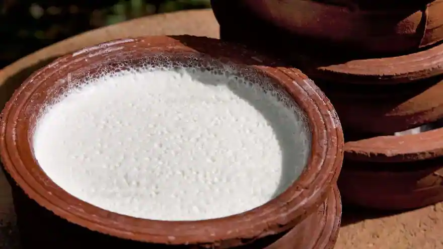 Fresh Curd in Clay Pot (1 KG)