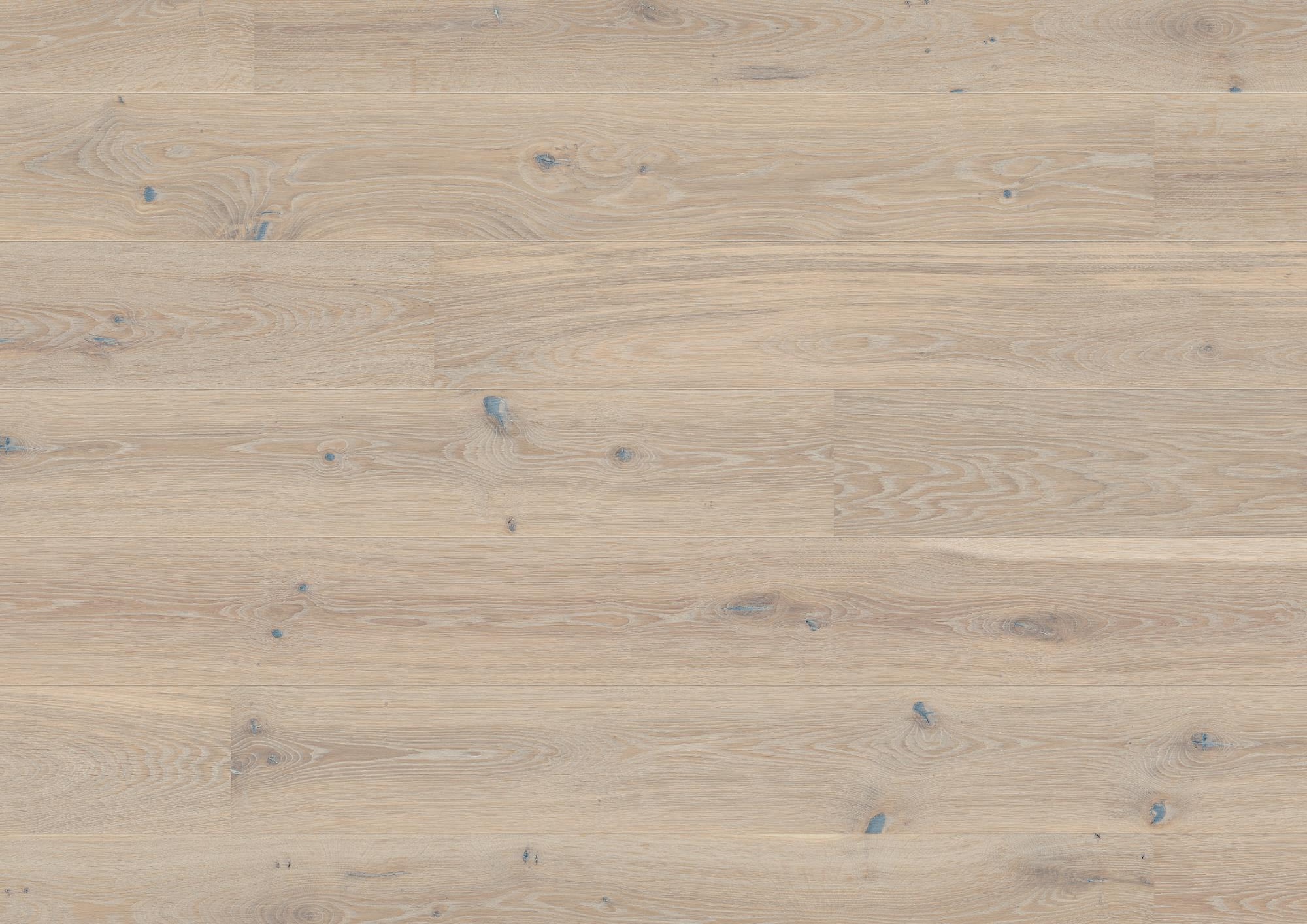 Ozols Pale White Vivo