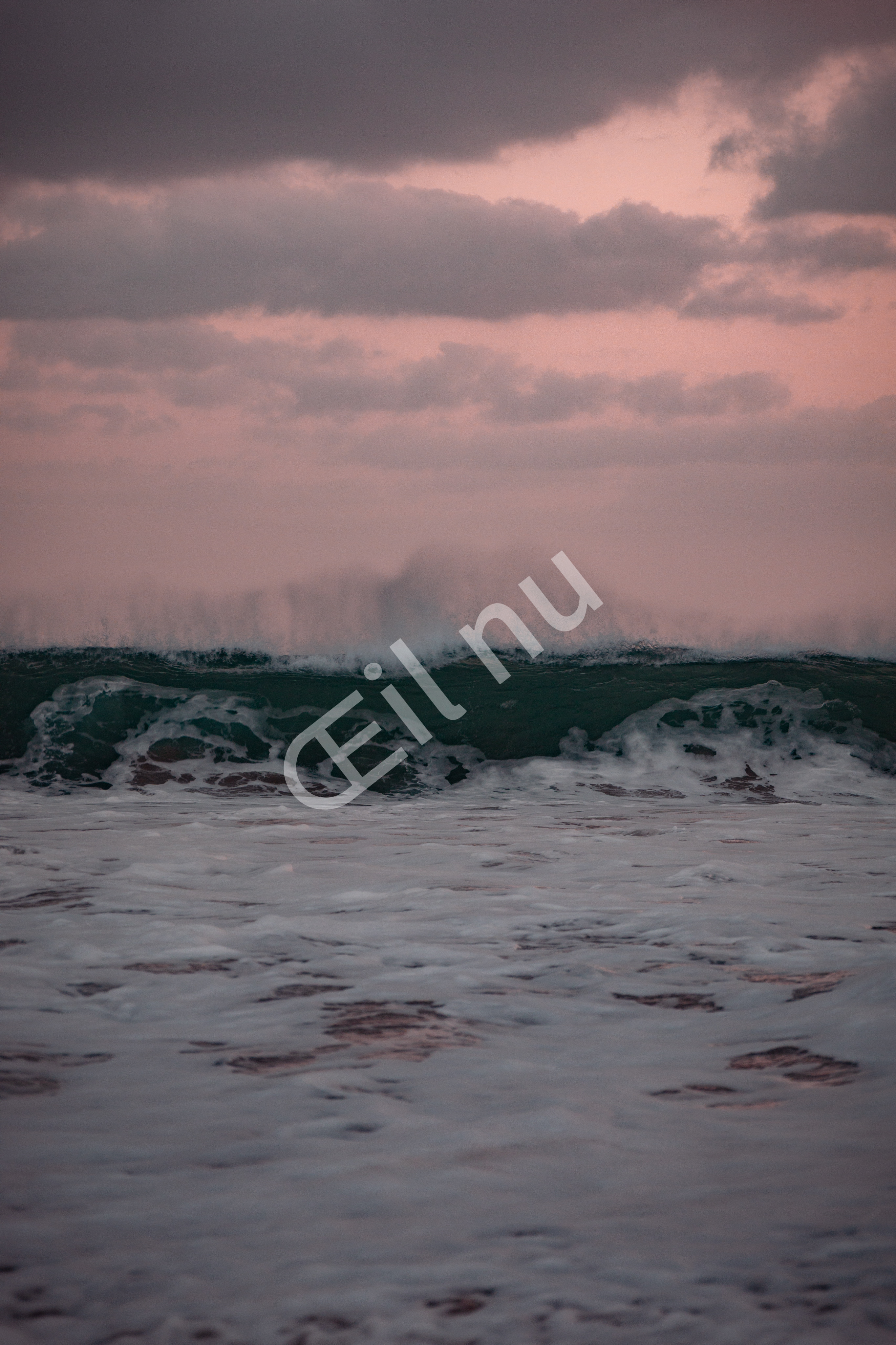 Vague de l'Océan Pacifique 