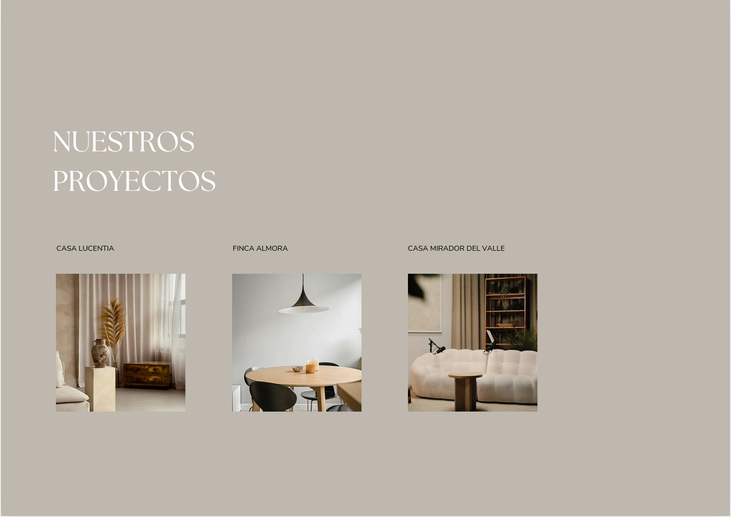 Portfolio Profesional · Editable en Canva (A3)