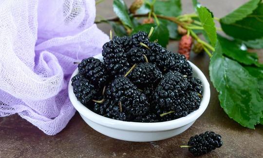 Moras Negra 500 grm congeladas