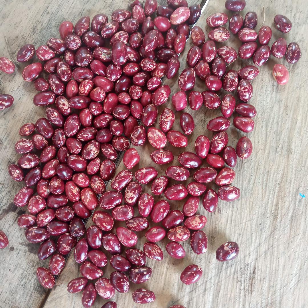 Frijol cargamanto Kilo