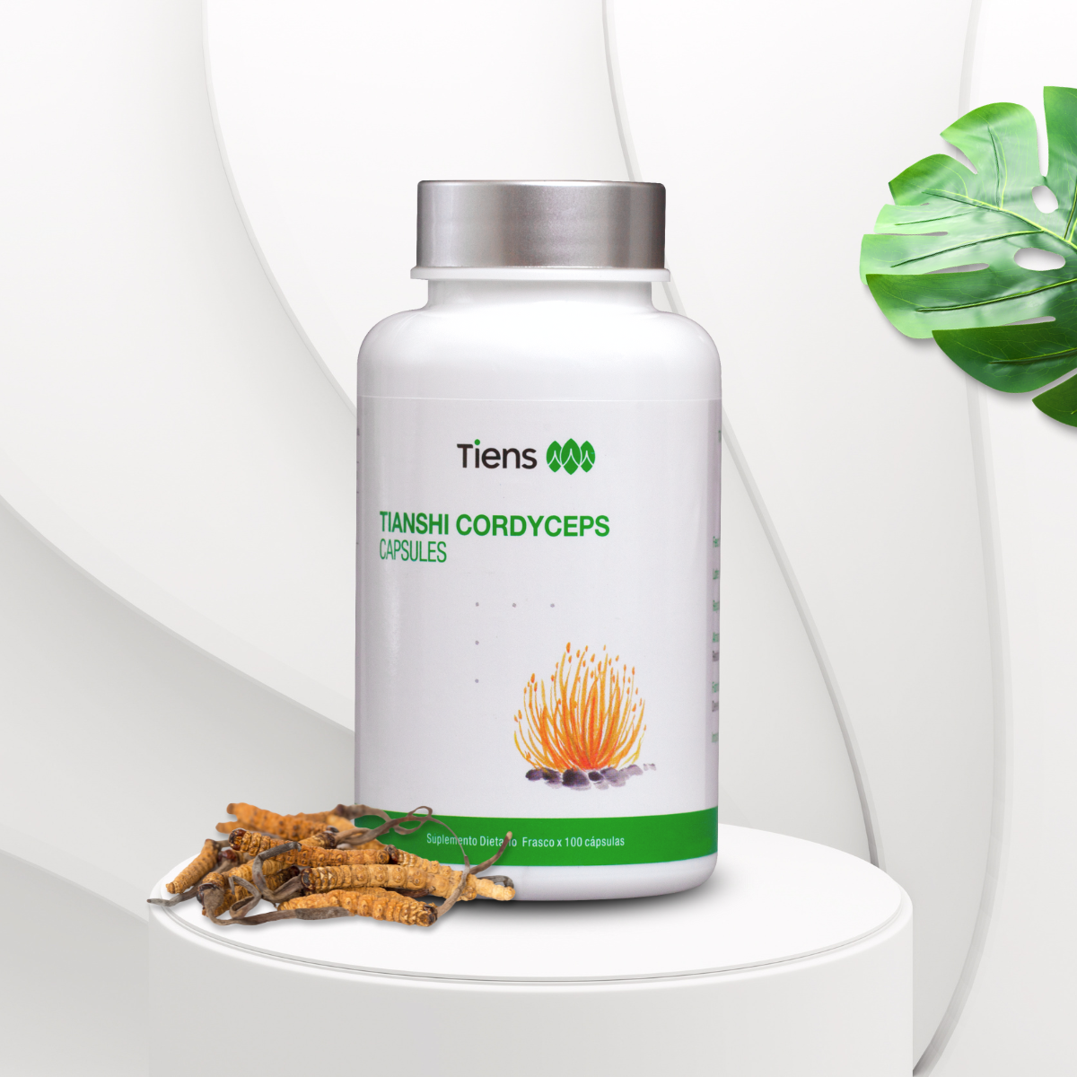 MICELIO DE CORDYCEPS DE TIANSHI