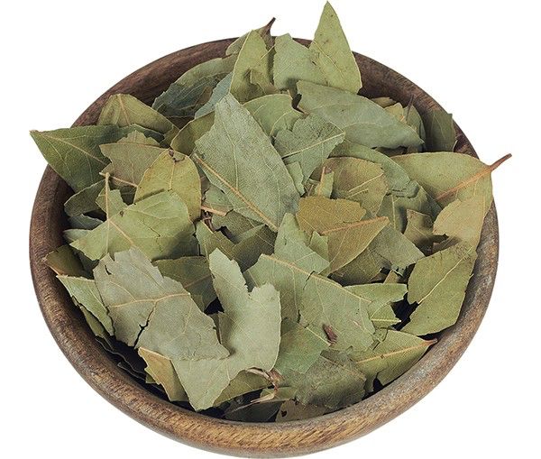 Hojas de laurel seco