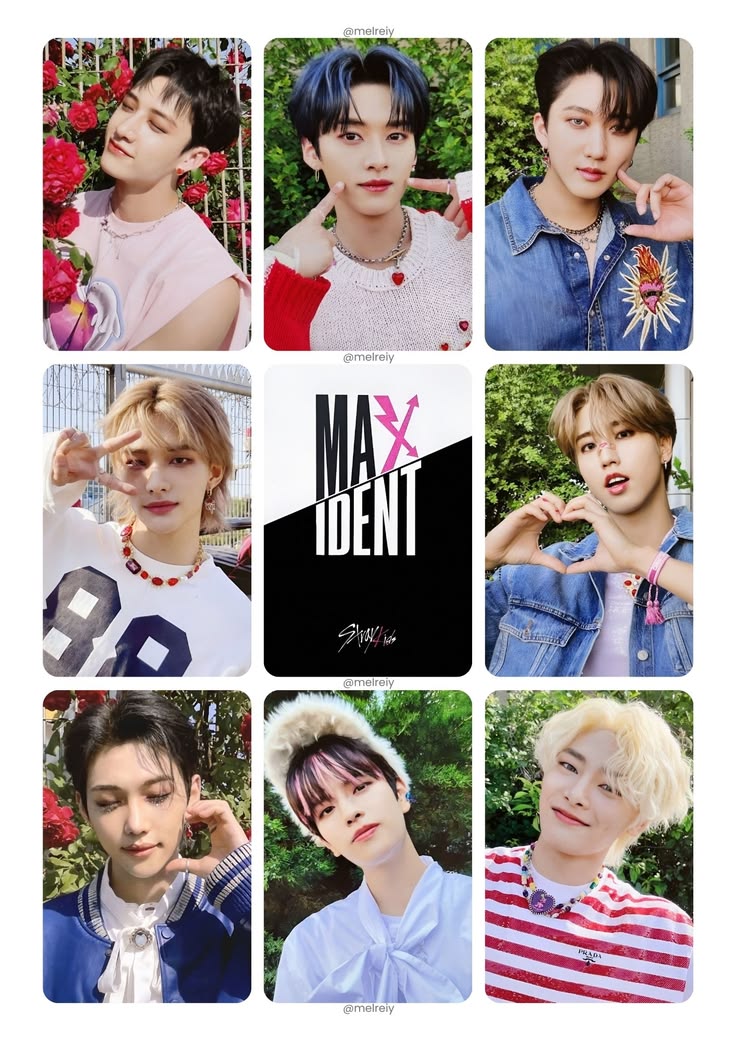 [READY] MAXIDENT BDM