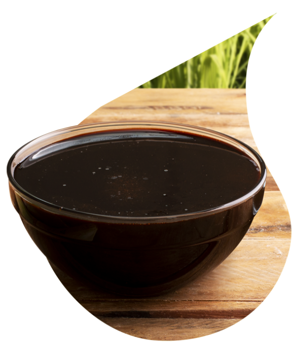 Melaço de cana 20litros