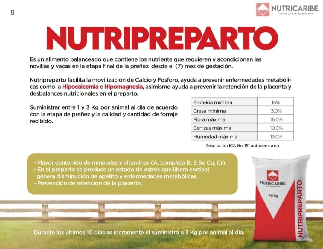 NUTRIPREPARTO