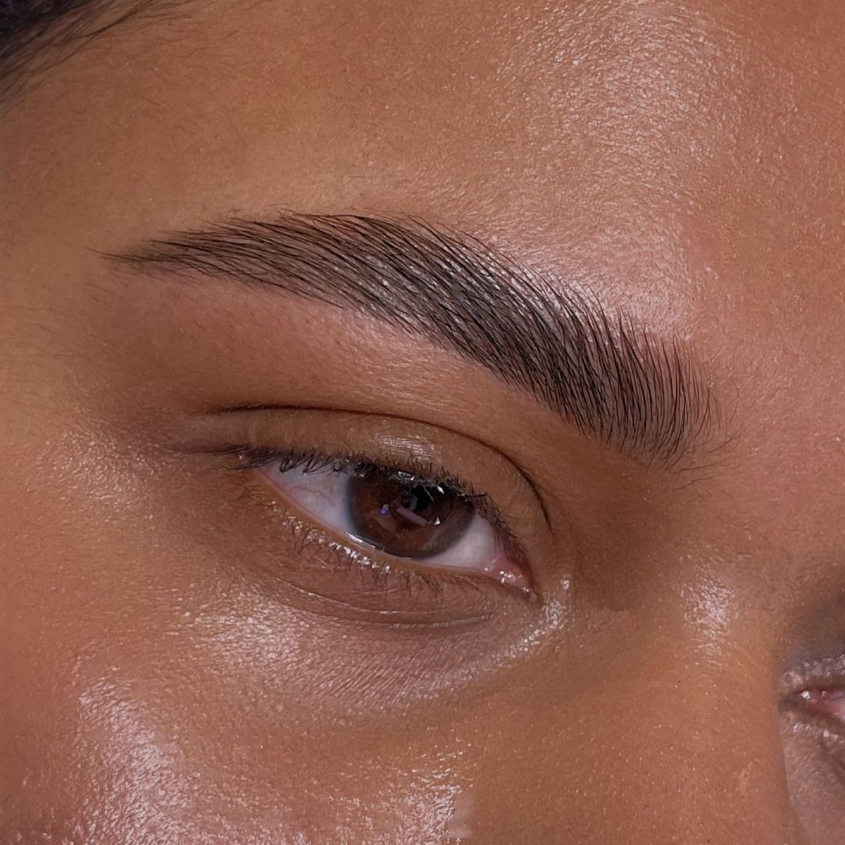 Diseño  ly Tinte de Cejas