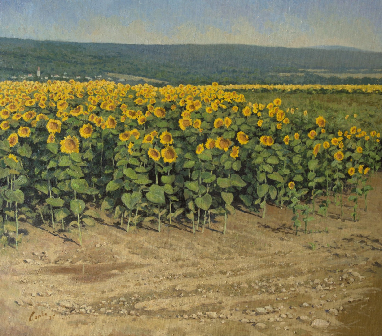 Sunflowers