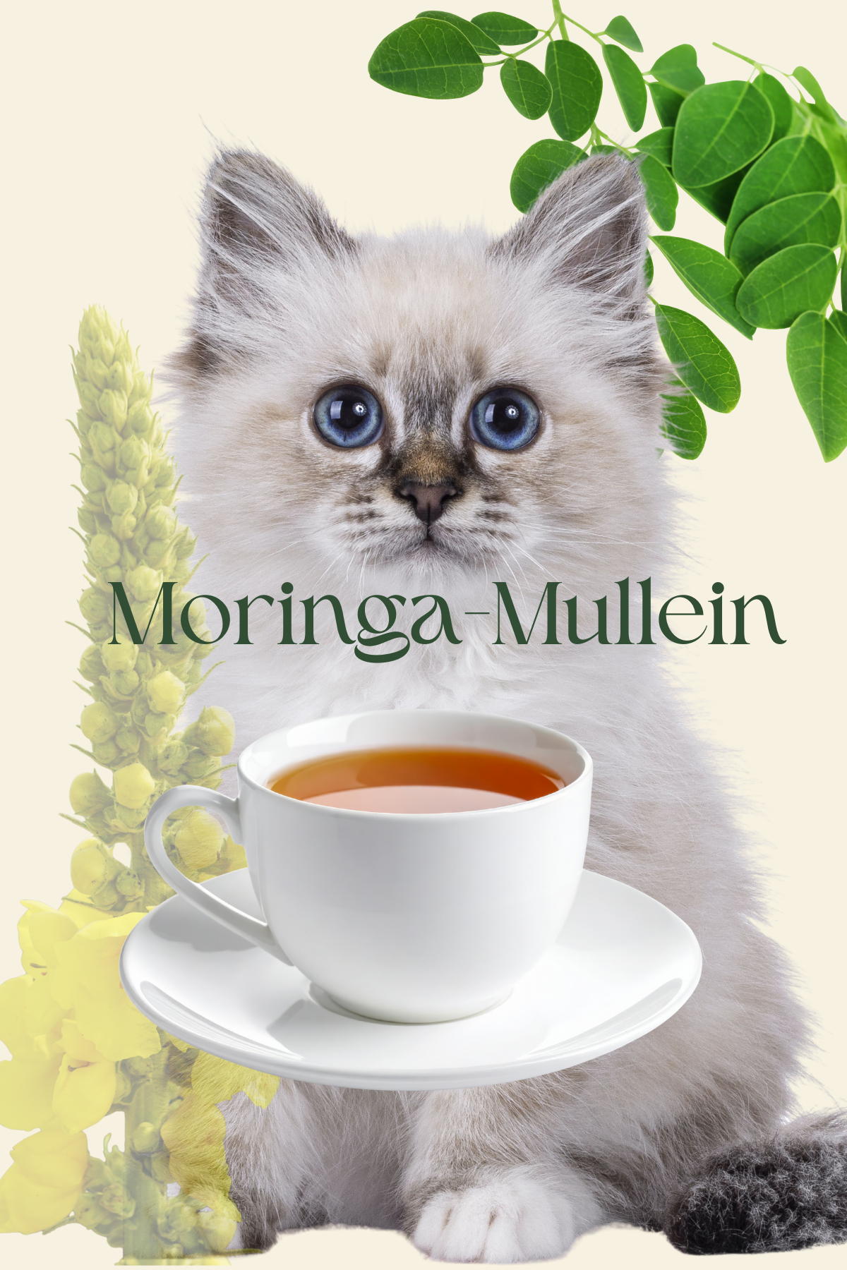 Moringa-Mullein Herbal Tea