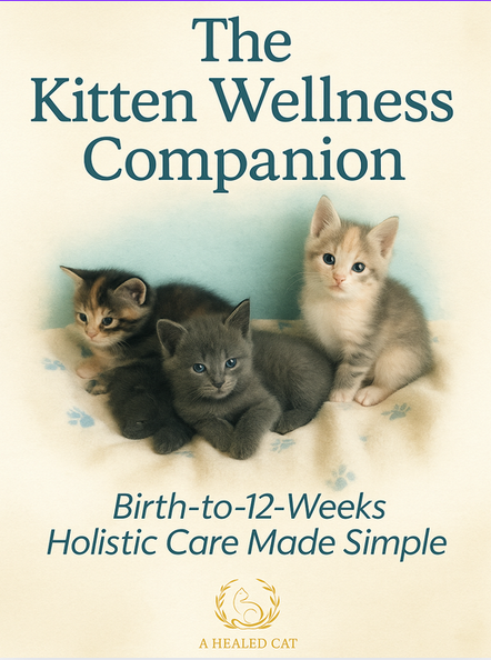 The Kitten Wellness Companion