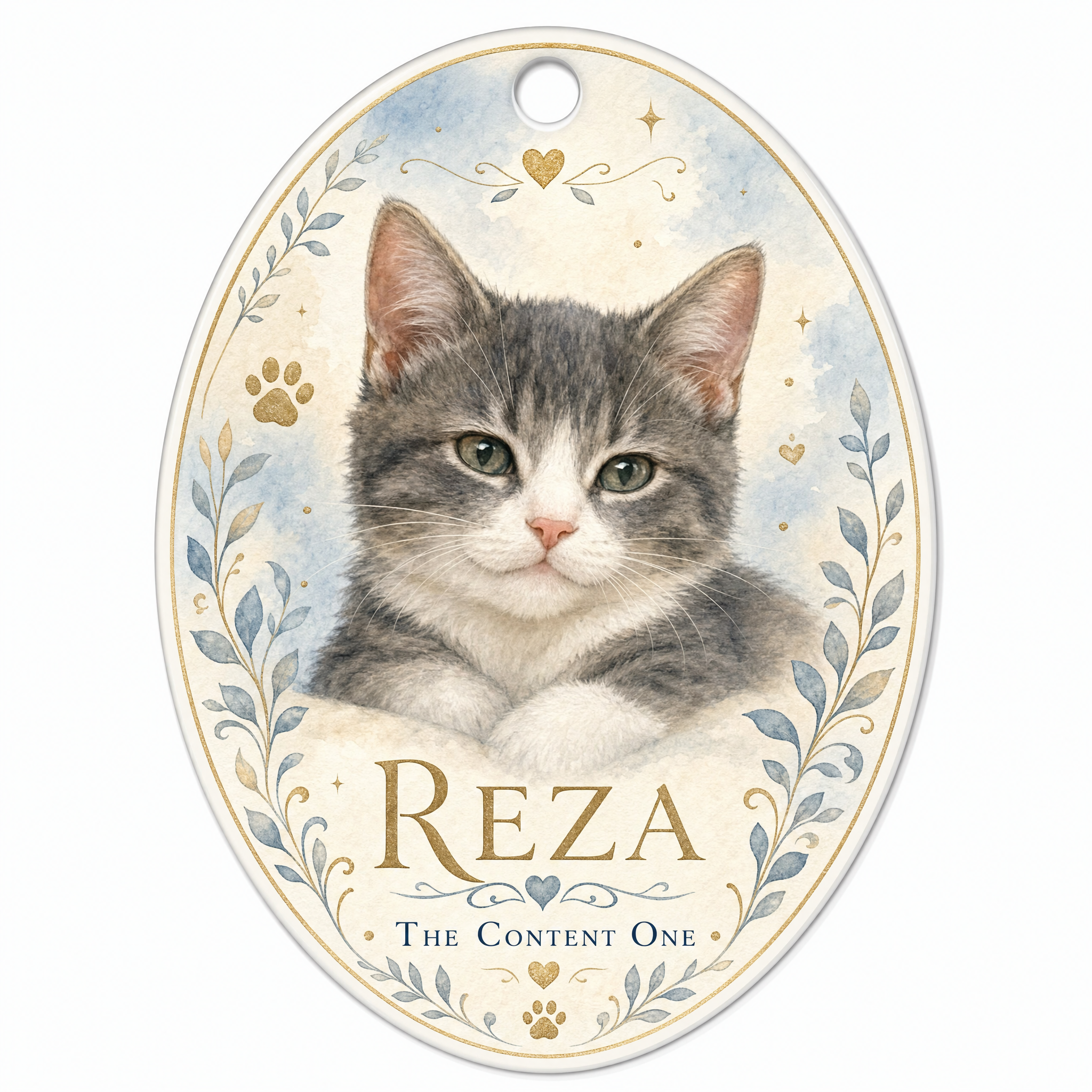 Reza-Adventureous Boy Who Loves to Chill