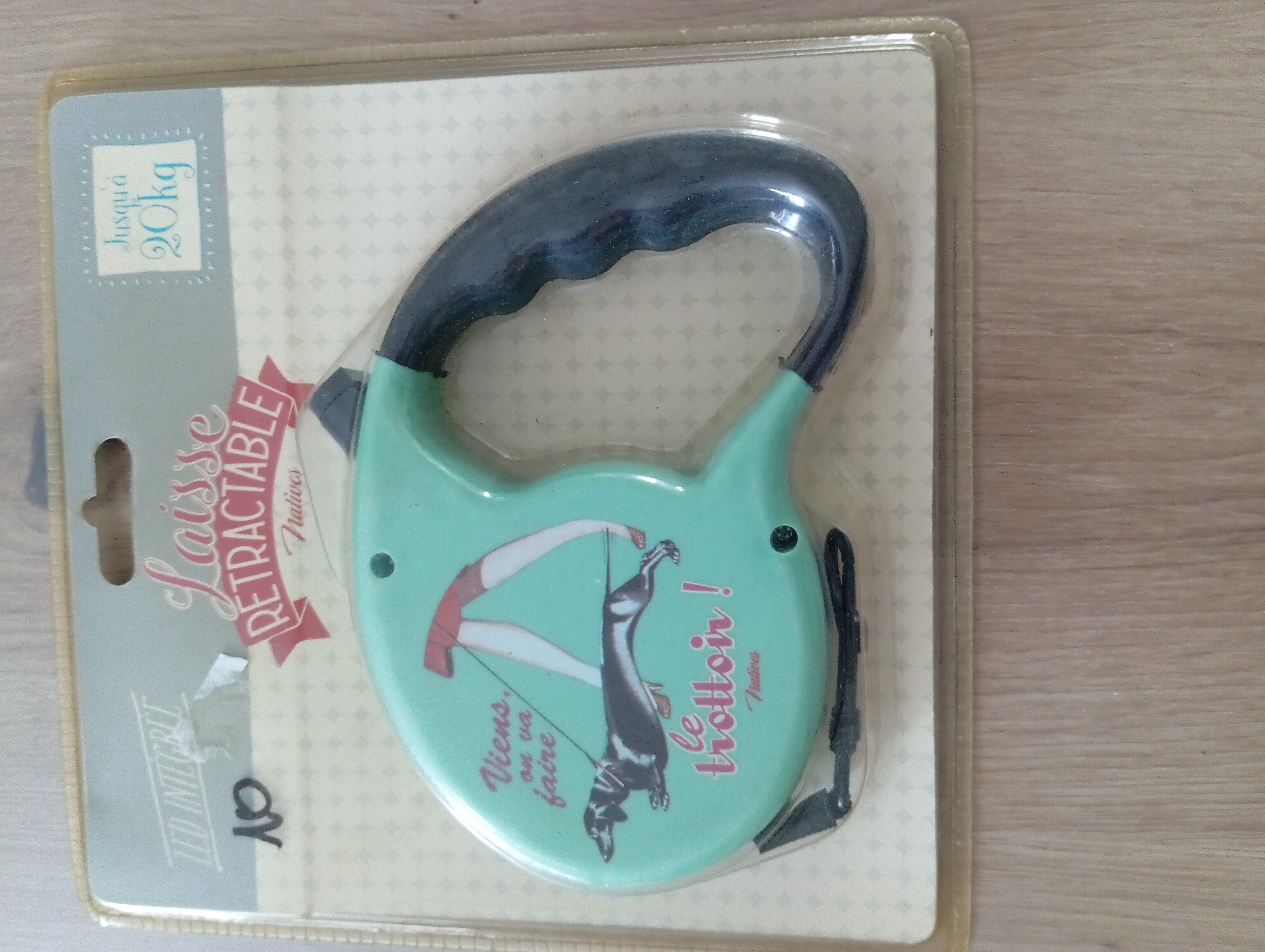 Laisse rétractable pour chien