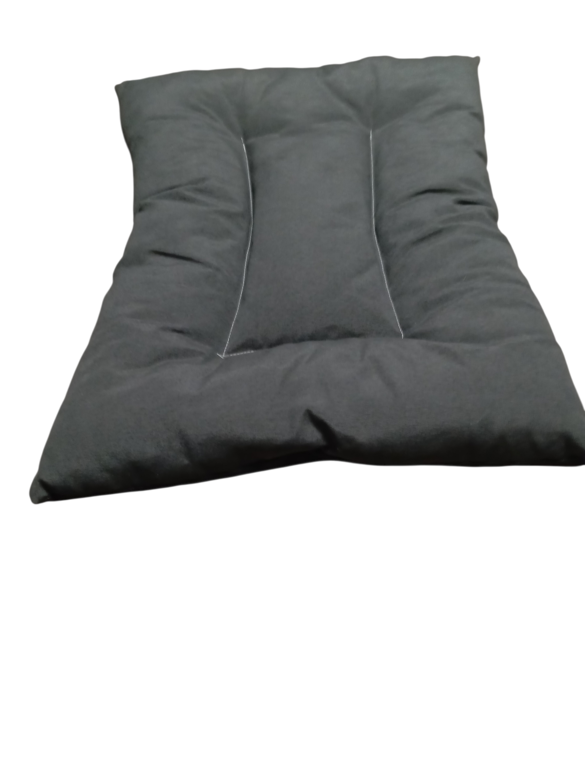 Coussin de sol pour chien 