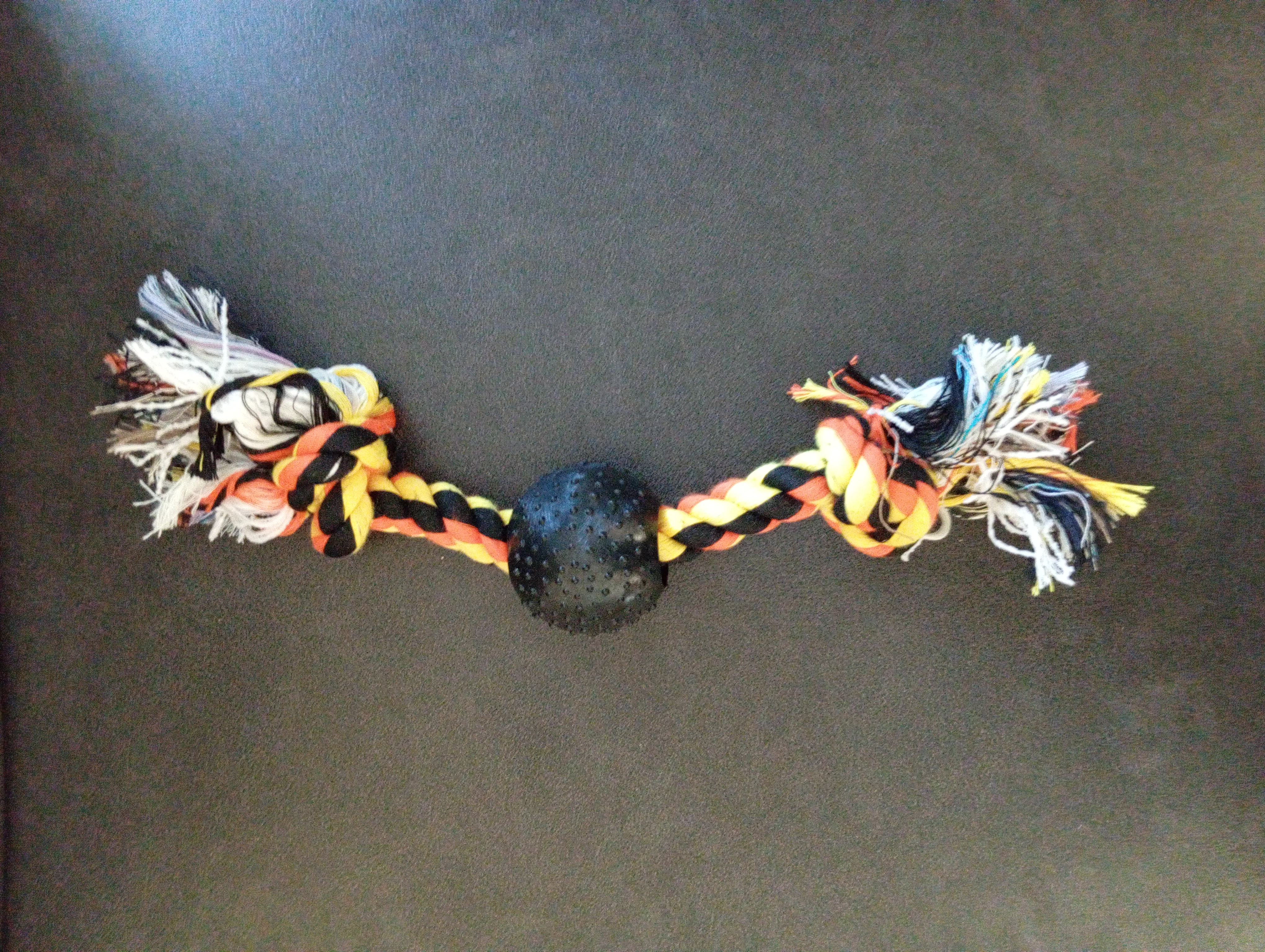 Jouet à mâcher pour chien