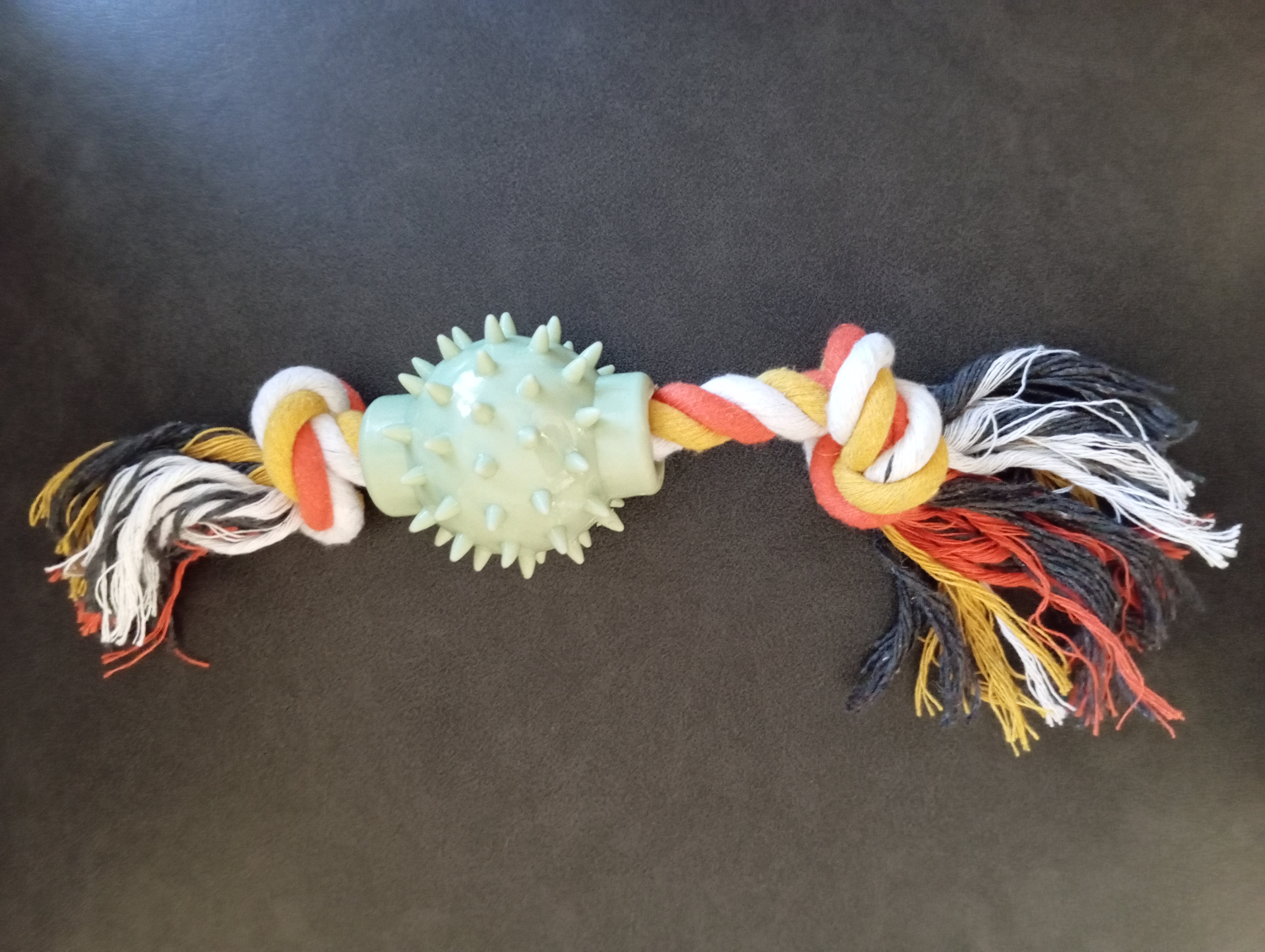 Jouet à mâcher pour chien