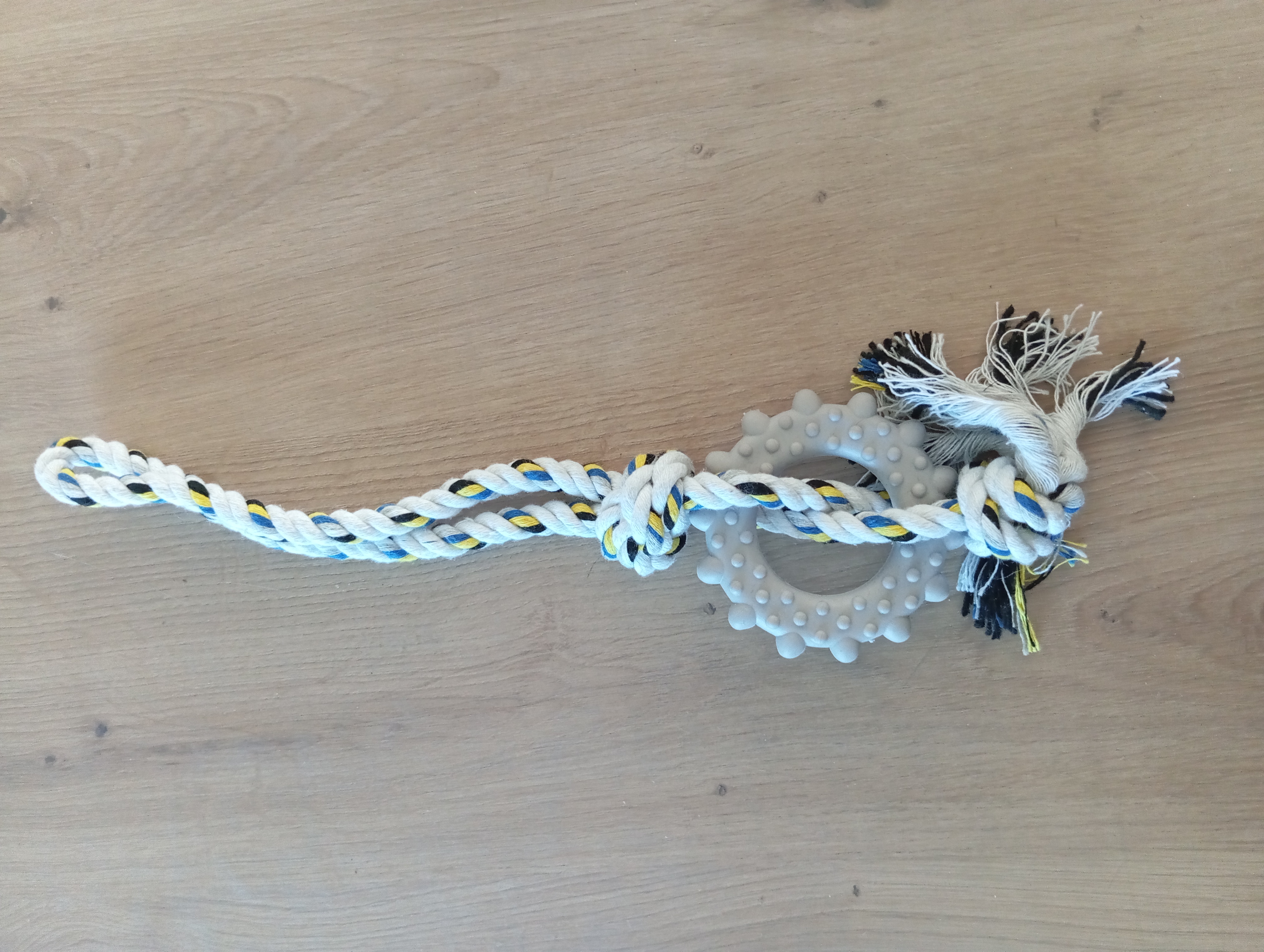 Jouet à mâcher pour chien