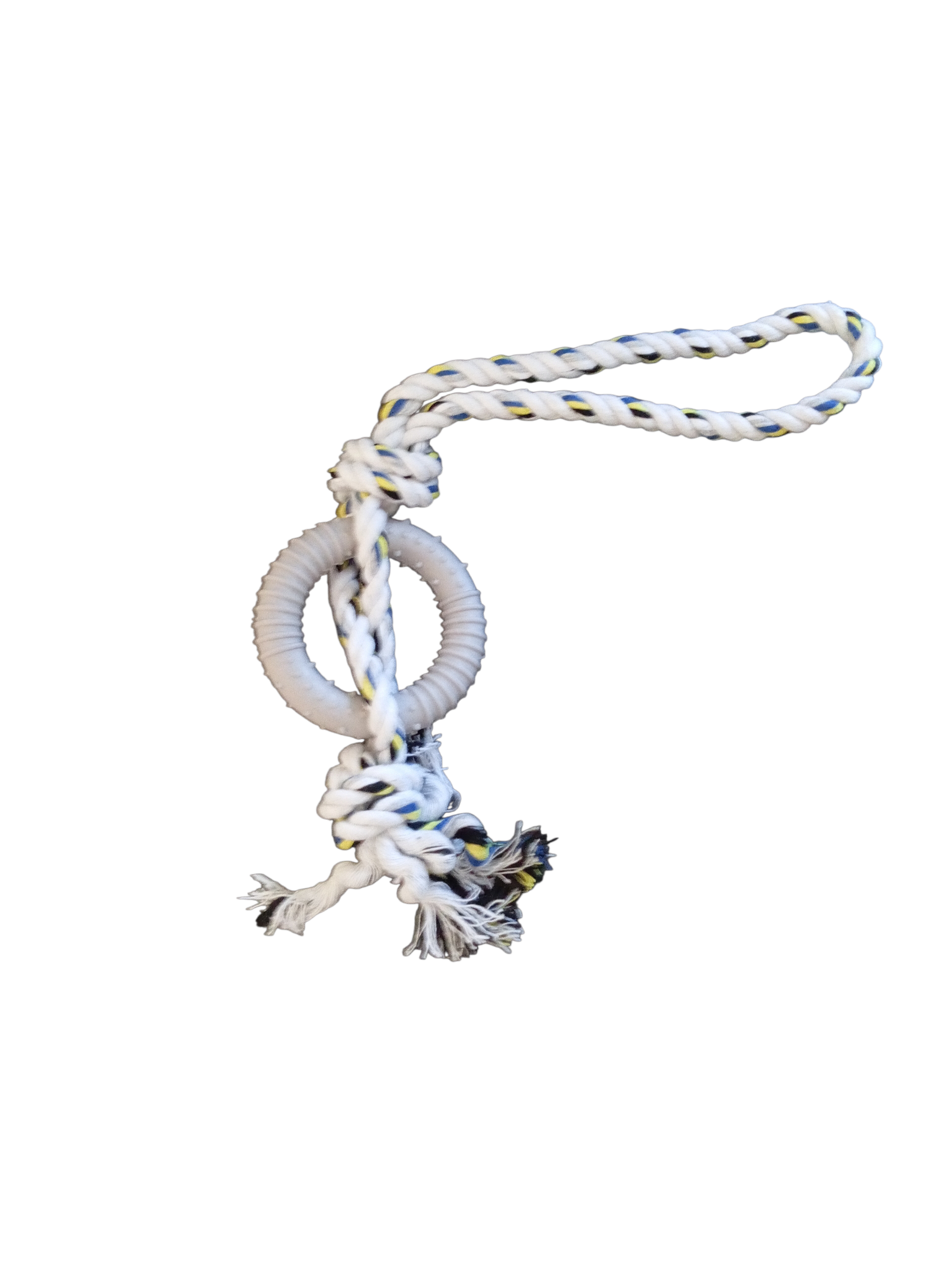 Jouet à mâcher pour chien