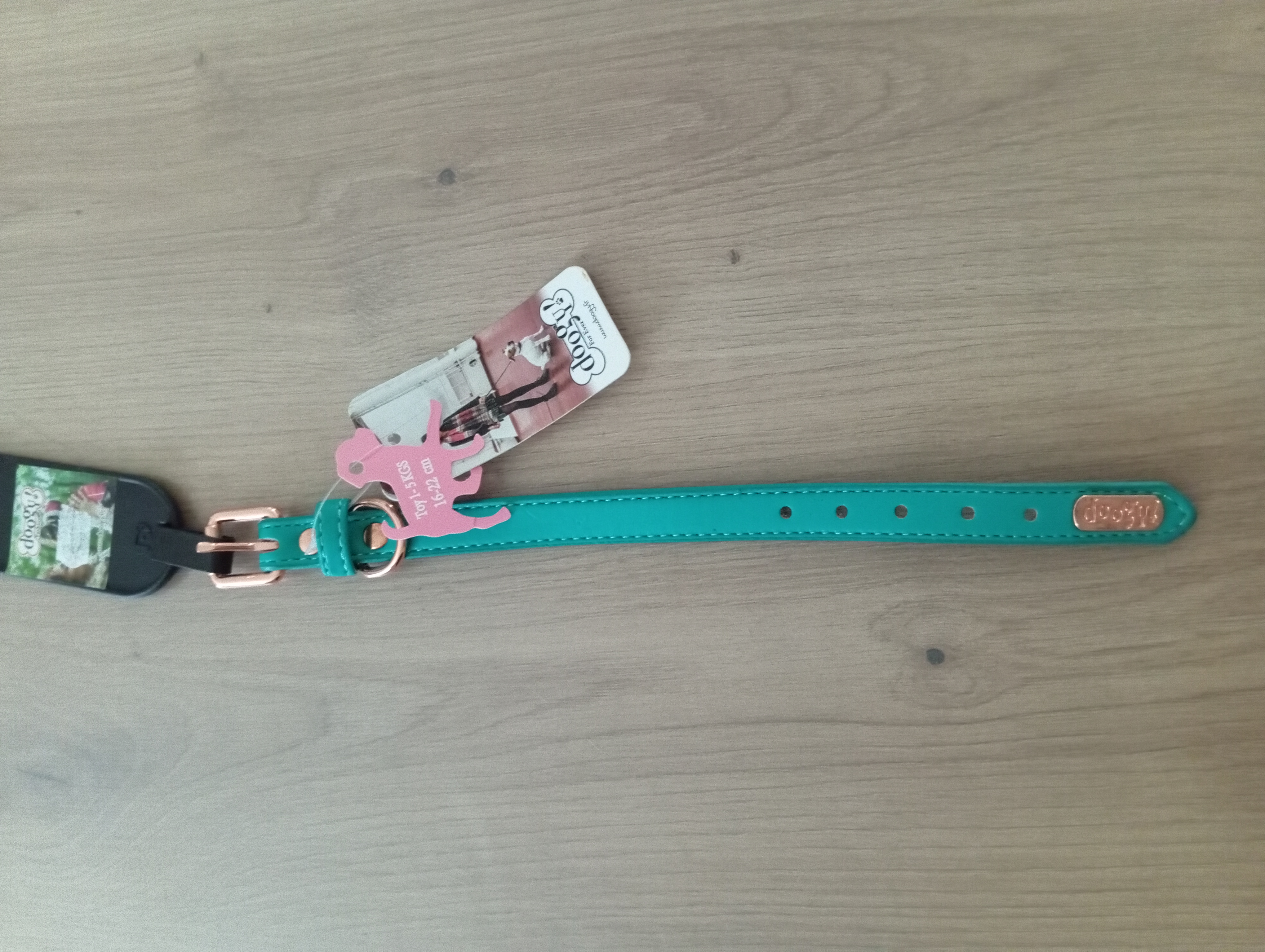 Collier pour chien vert