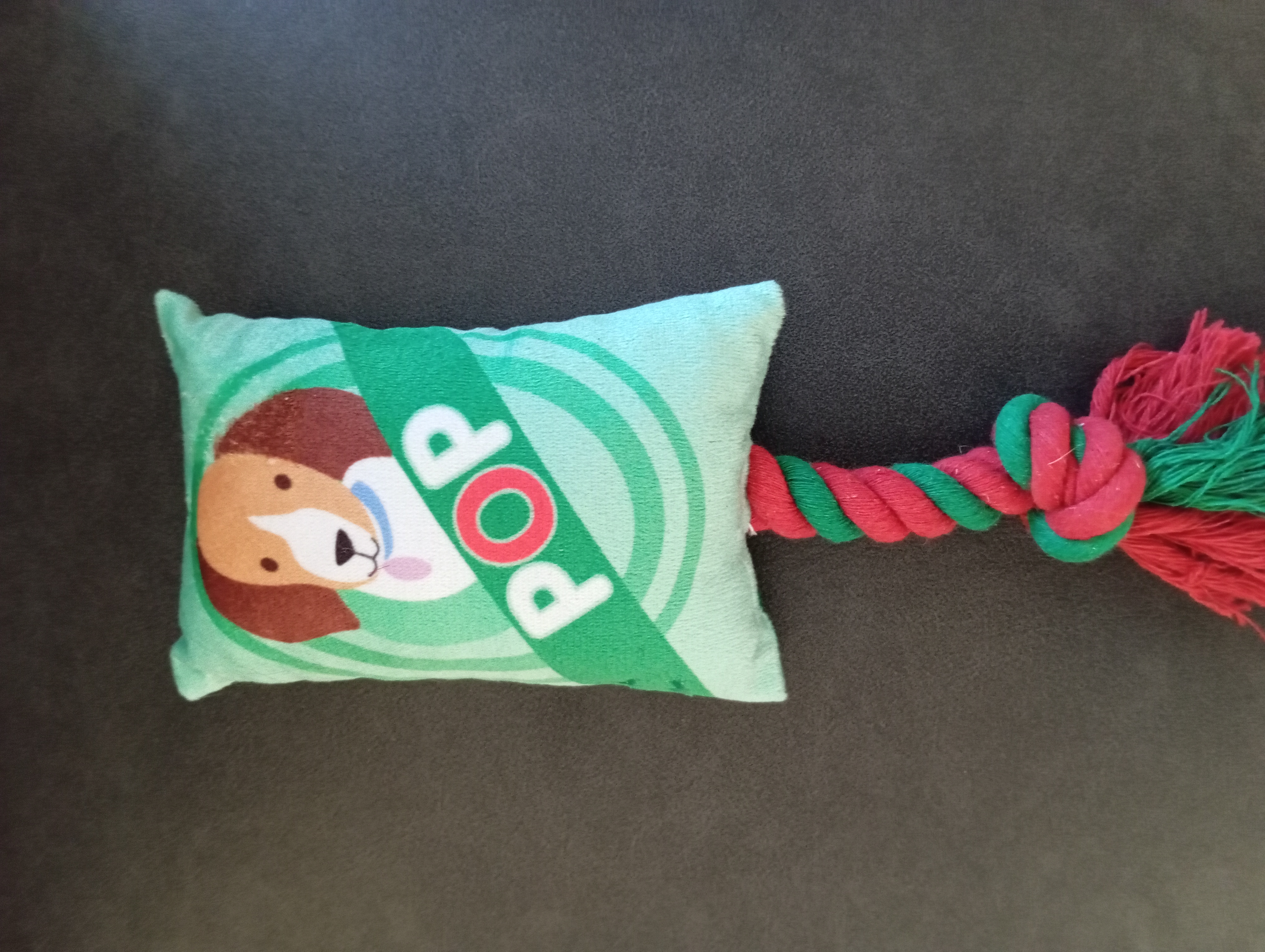 Jouet pour chien POP