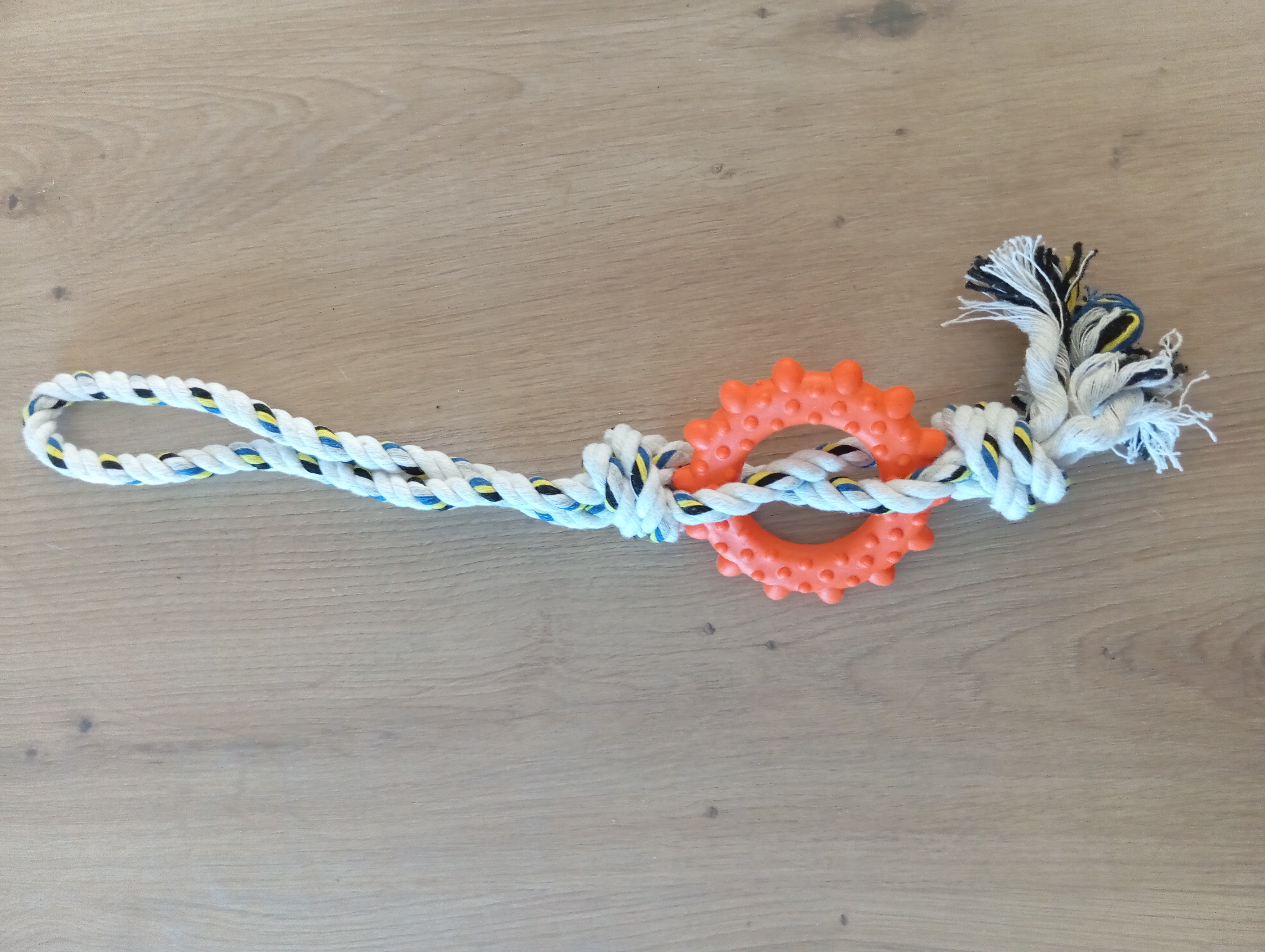 Jouet à mâcher pour chien