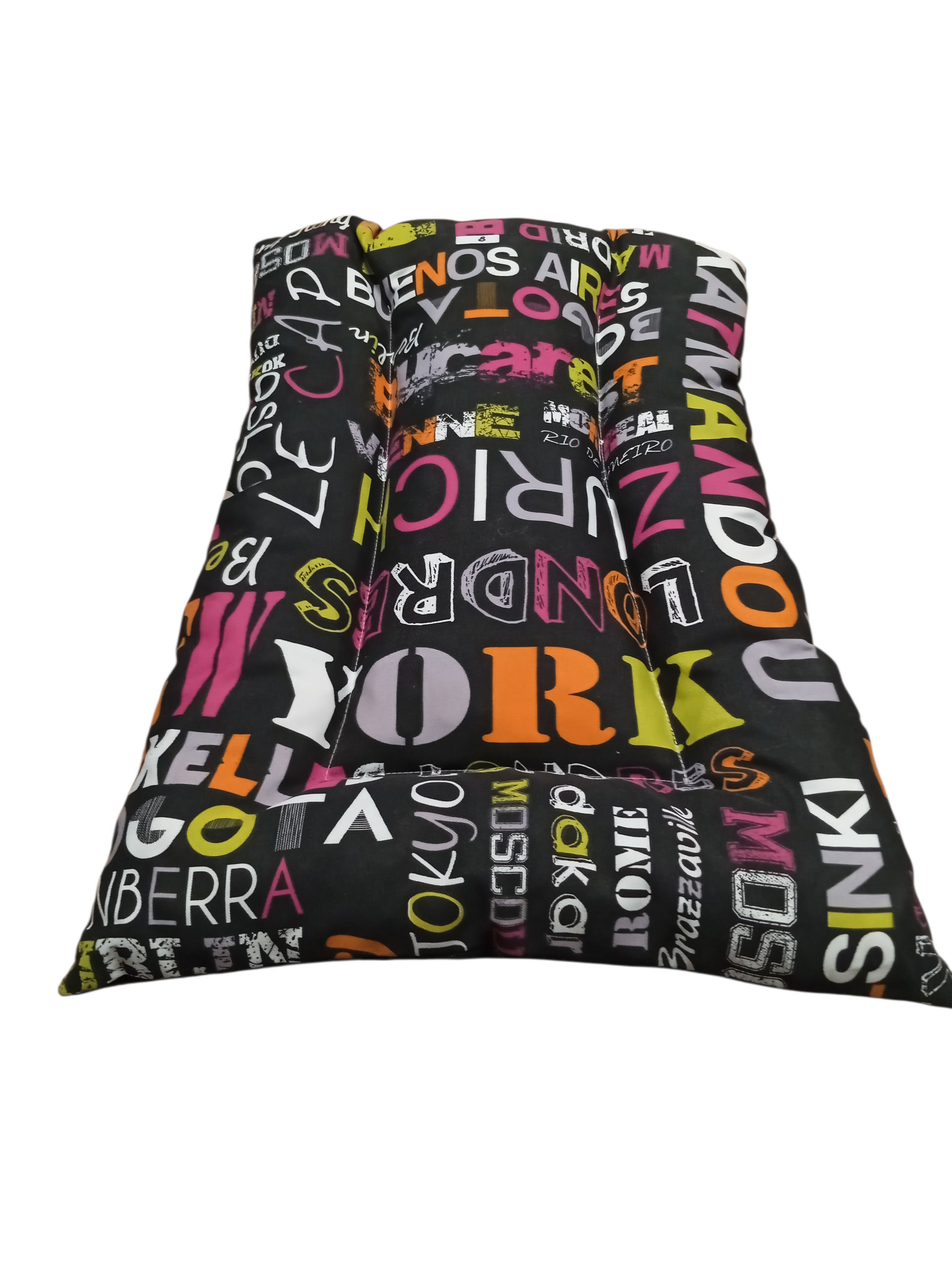 Coussin chien imprimé