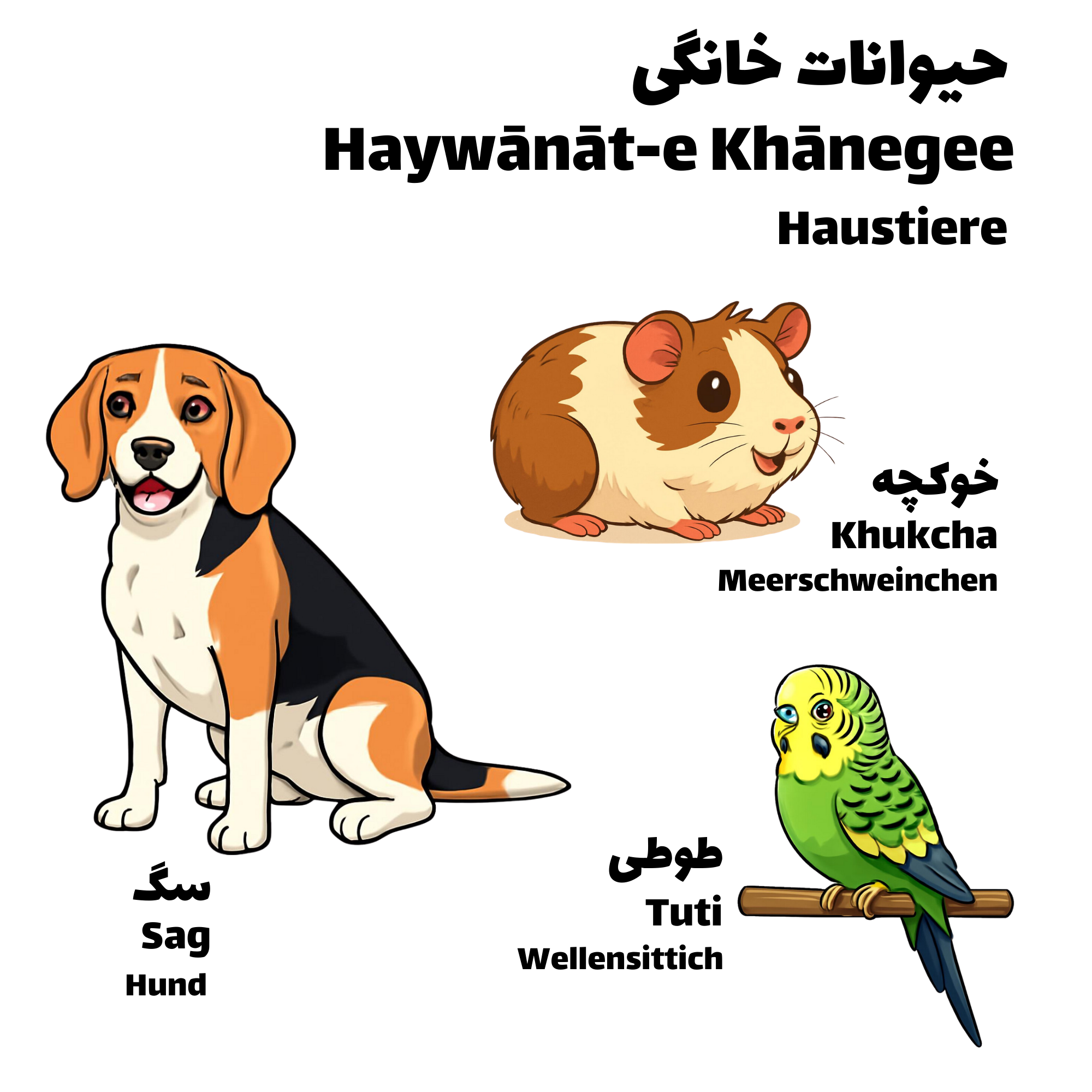 Dunyā-ye Haywānāt - Die Welt der Tiere