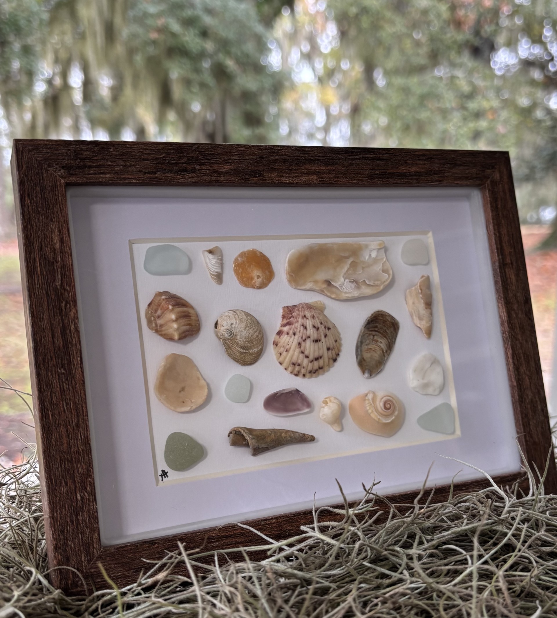 Framed Botanical Sea Glass Art -5x7